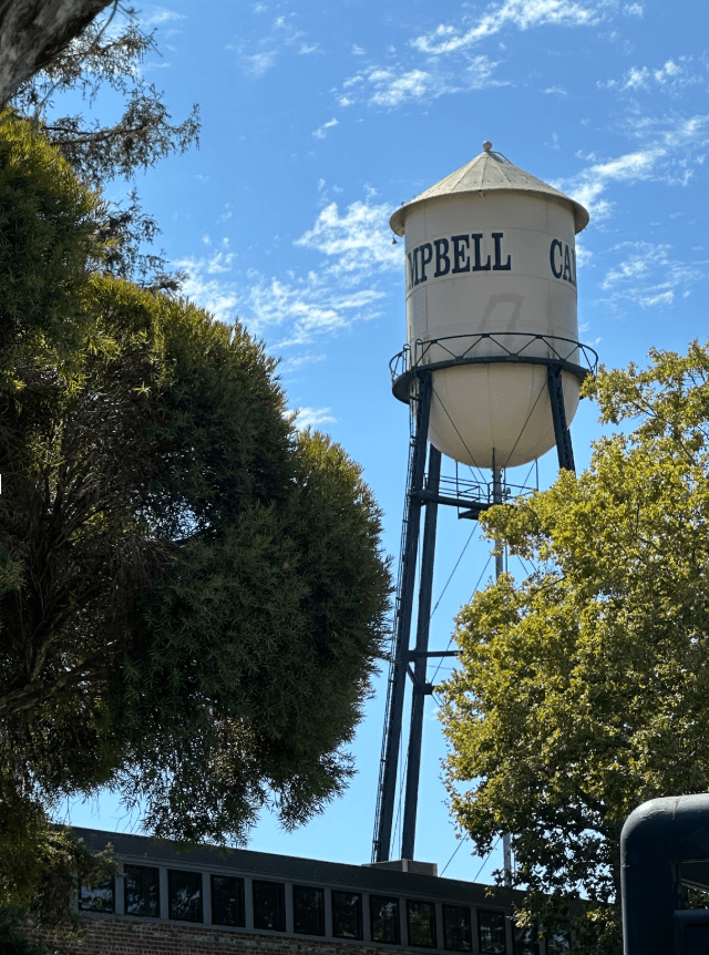 The Bay Area in Photos: Downtown Campbell