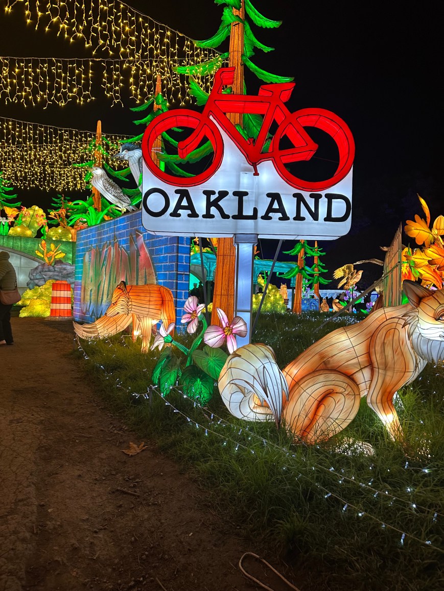 The Bay Area in Photos: Glowfari at the Oakland Zoo