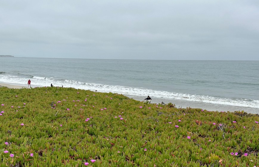 The Bay Area in Photos: Vallejo Beach